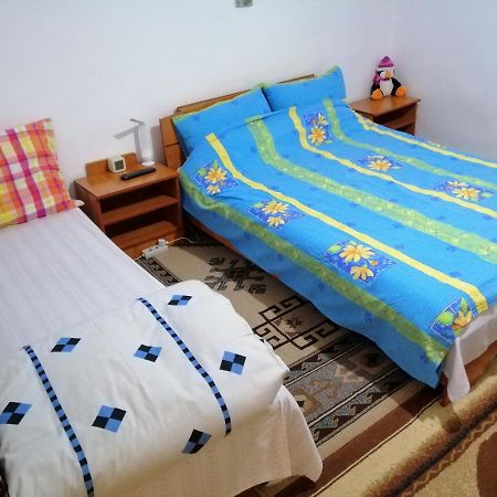 Rustic House Daire Turnu Măgurele Dış mekan fotoğraf