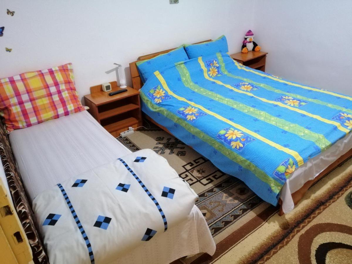 Rustic House Daire Turnu Măgurele Dış mekan fotoğraf
