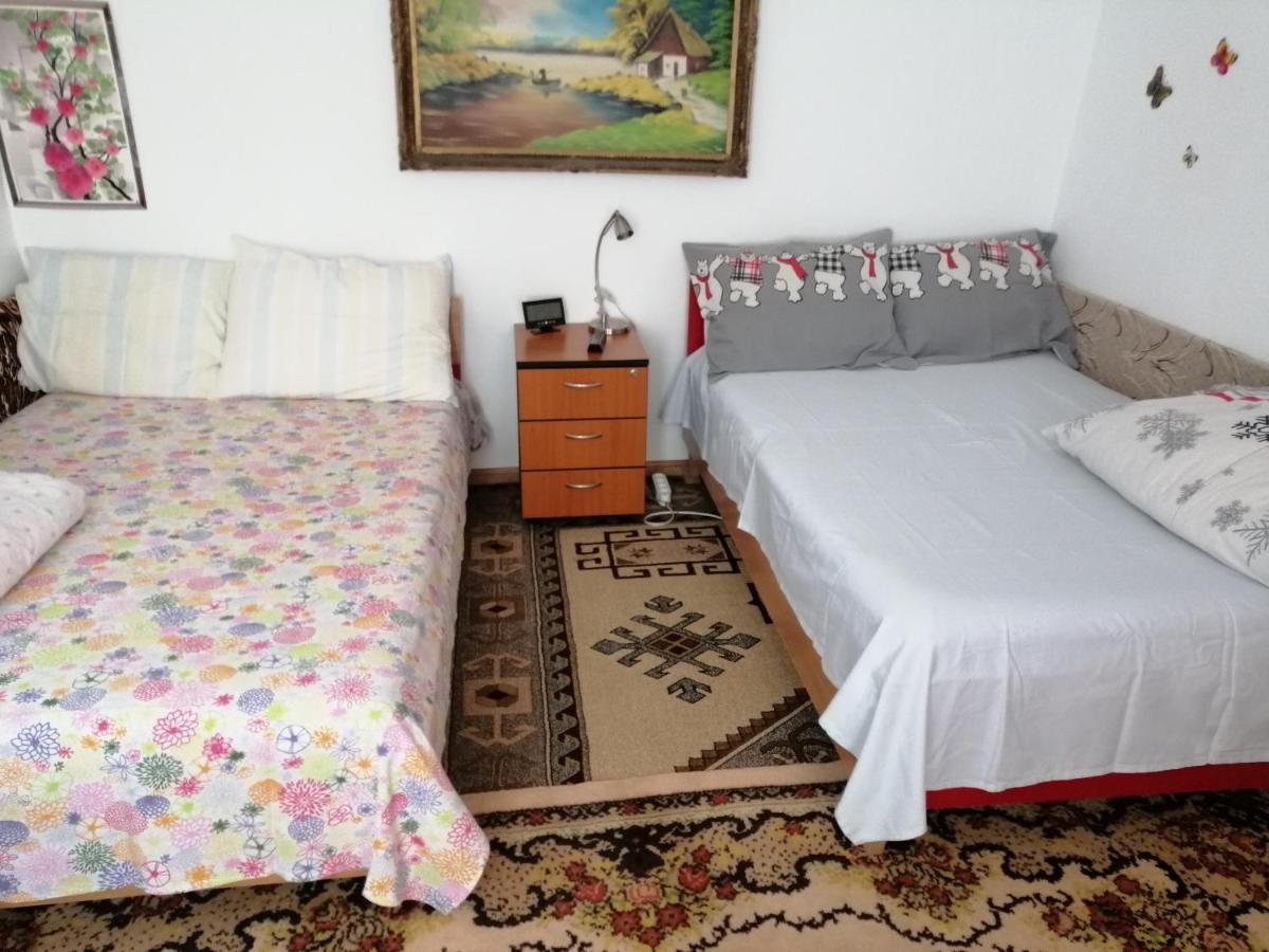 Rustic House Daire Turnu Măgurele Dış mekan fotoğraf