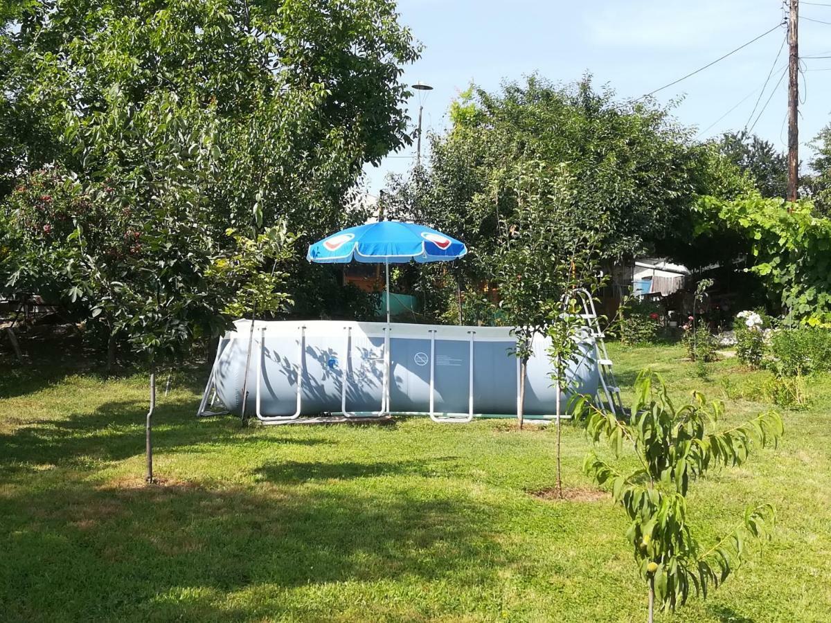 Rustic House Daire Turnu Măgurele Dış mekan fotoğraf